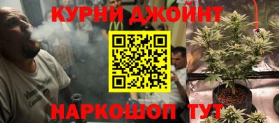 индика Сланцы