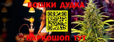 индика Сланцы