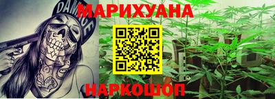 индика Сланцы