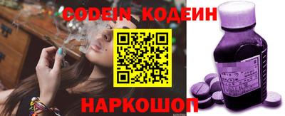 индика Сланцы