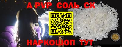 индика Сланцы