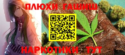 индика Сланцы