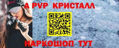 индика Сланцы