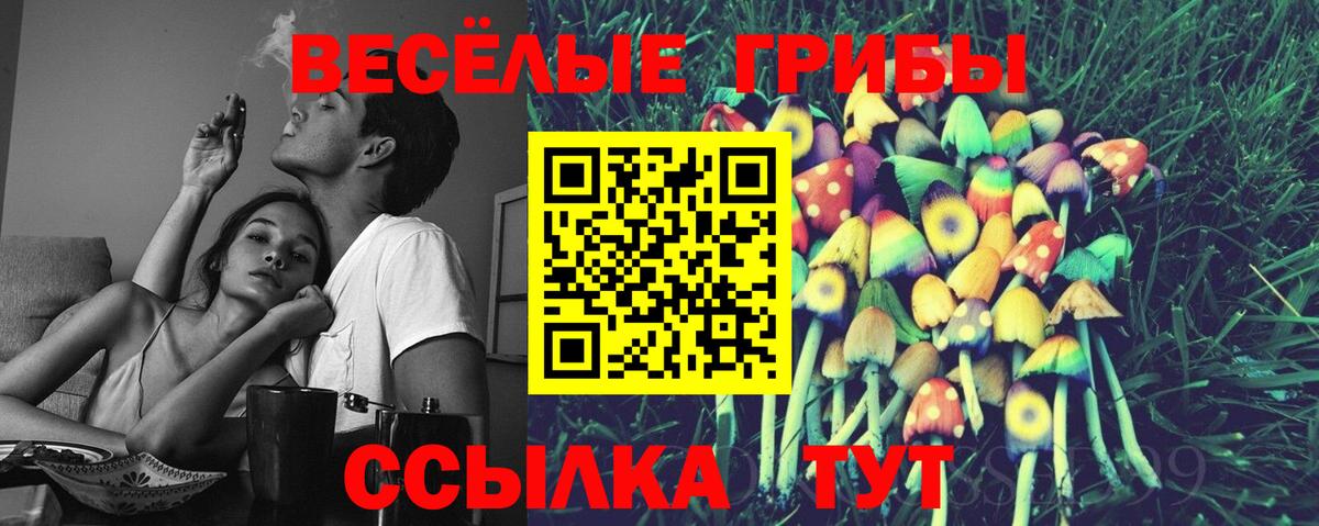 Галлюциногенные грибы Psilocybe Нарткала