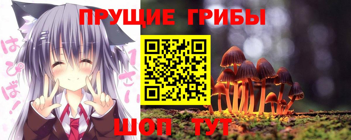Нарткала  Псилоцибиновые грибы GOLDEN TEACHER  Вход с VPN 